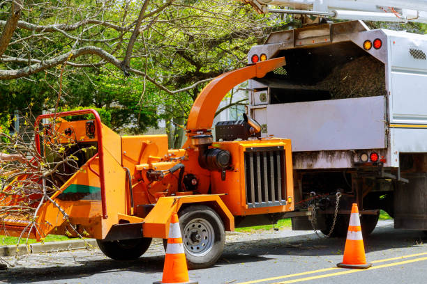 Best Utility Line Clearance  in Morris, AL